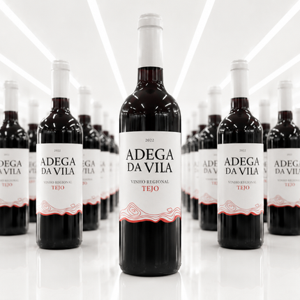 Adega da Vila Vinho Regional Tejo - 1 à 2 300 F et Carton de 6 à 12 400 F