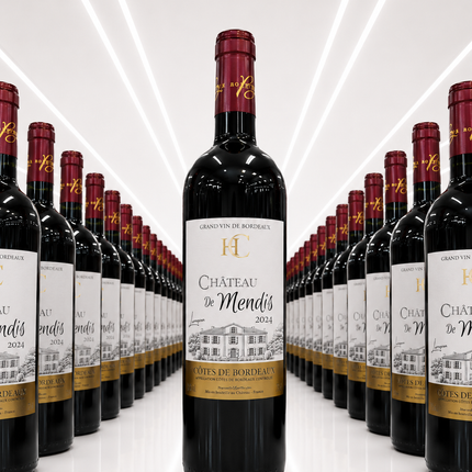 Château de Mendis Côtes de Bordeaux 2024 - 1 à 3 100 F et Carton de 6 à 16 800 F