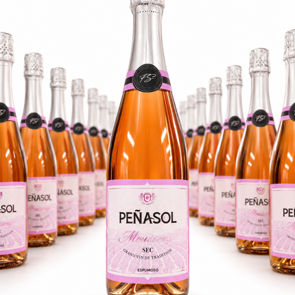 Peñasol Mousseux Rosé Sec - 1 à 2 500 F et Carton de 6 à 13 600 F